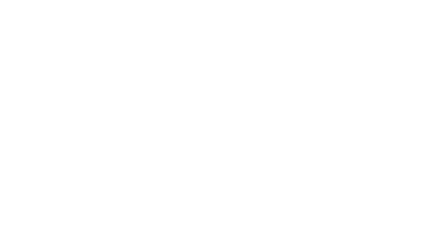 Pole Fight Scuola di Pole Dance a Grosseto Logo Bianco